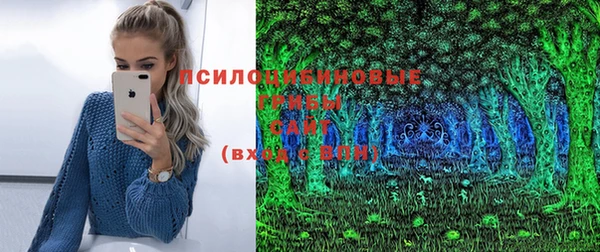 мдпв Нягань