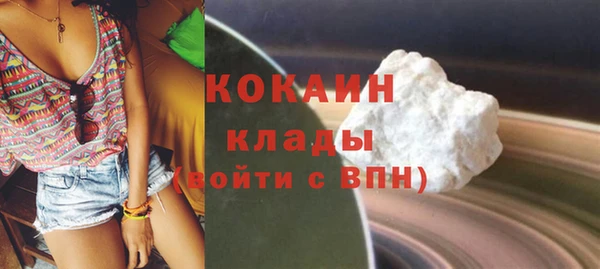 бошки Няндома