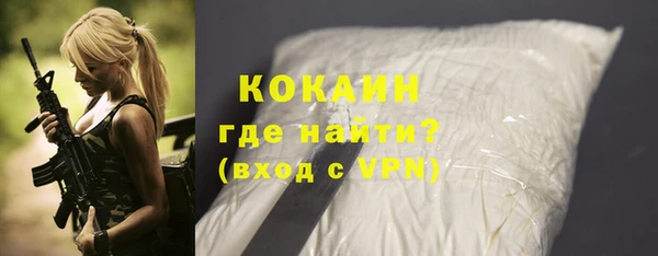 бошки Няндома