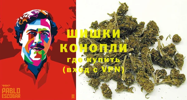 бошки Няндома