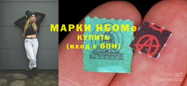 бошки Няндома