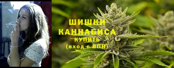 бошки Няндома