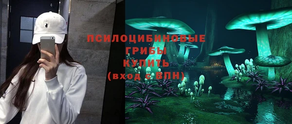 мдпв Нягань