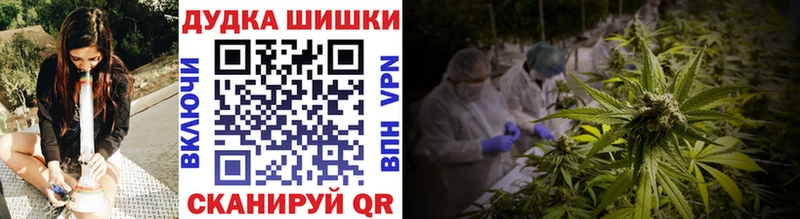 shop как зайти  mega рабочий сайт  Кодинск  МАРИХУАНА White Widow 